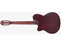 Larry Carlton G5N Natural Larry Carlton G5N Natural